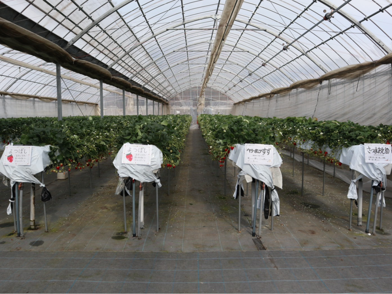 LnEXł10ނ̐Hהׂł܂݂Ȃ̍D݂̂𔭌II