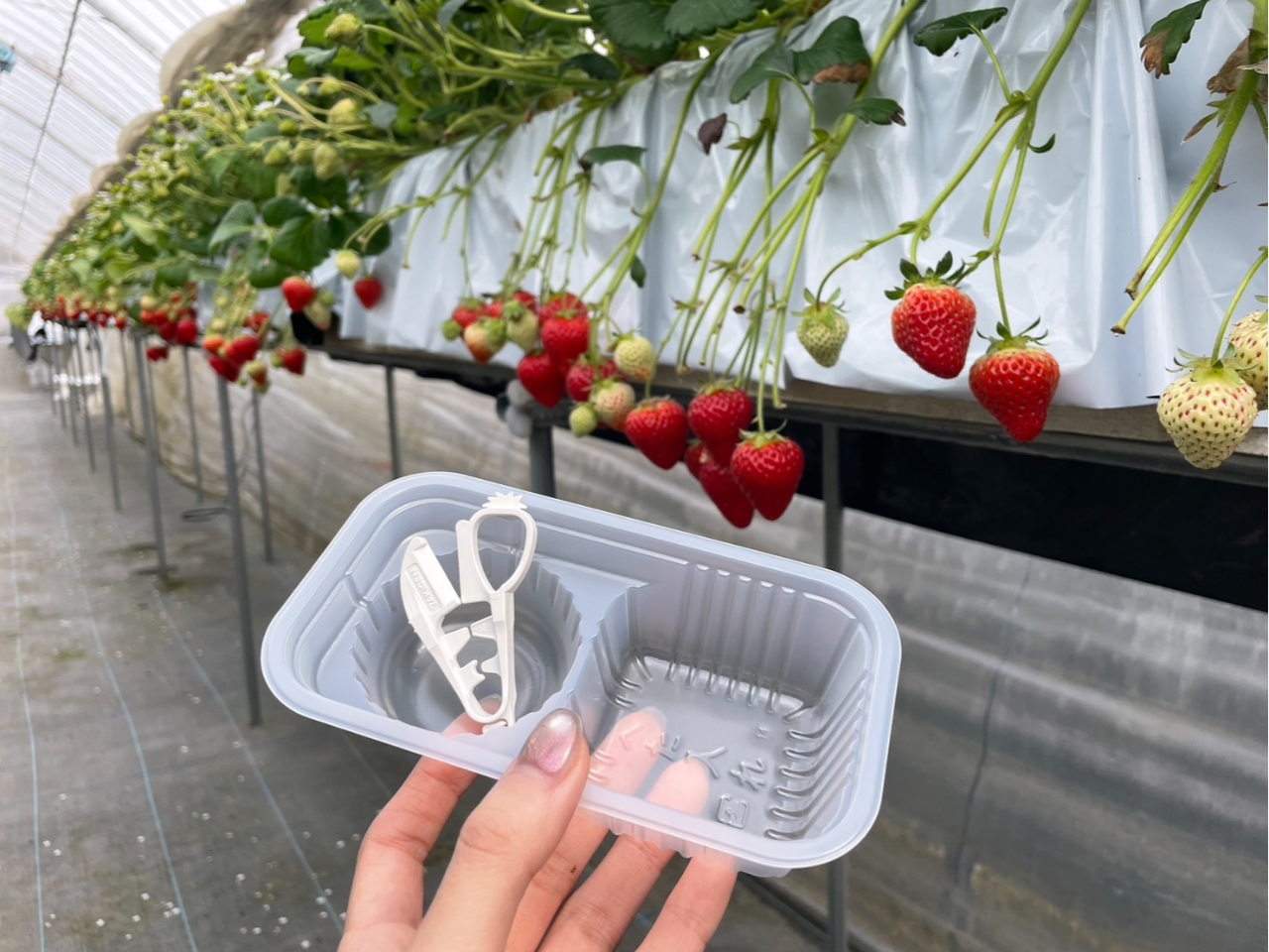 qlp̃nT~ł@ȒPɈSɂy݂܂II