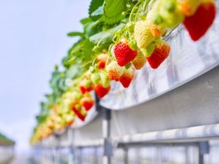 じゅわっと美味しさが溢れでる!