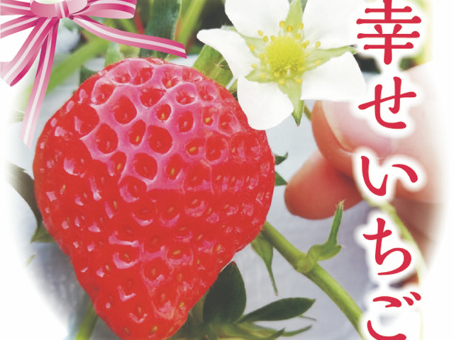 3月】≪じゃらん限定・予約確約≫いちご狩り！！※13時まで受付中