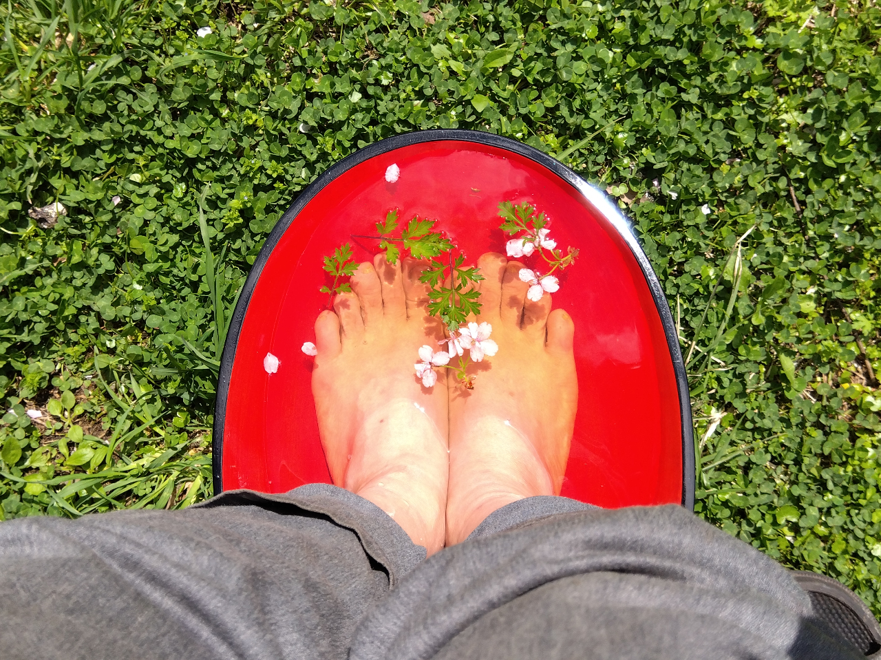 よもぎ足湯は、身体を内側から温め、毒素の排出を促します。