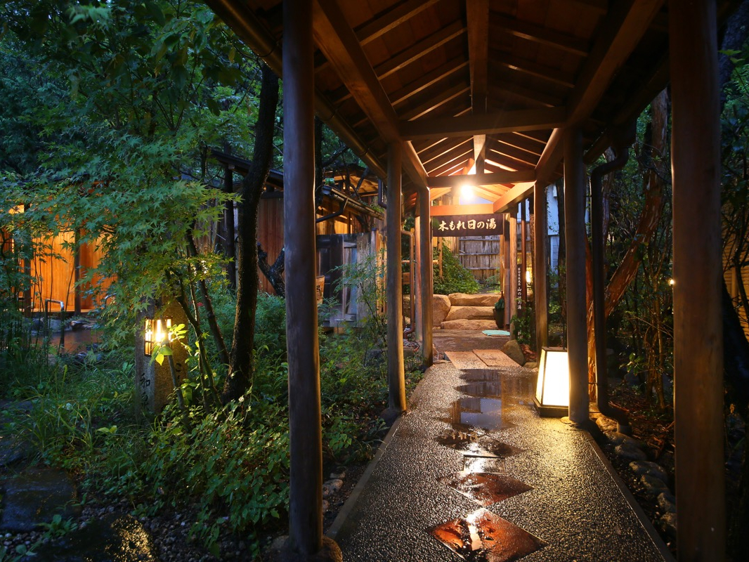 ݐؕC܂ł̒ʘHBɂ͏ł뉀BlG܁X̖؁X߂܂B