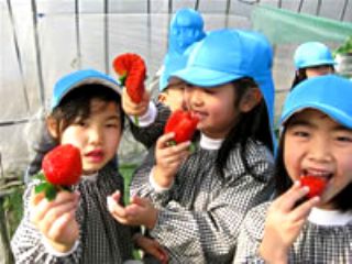 コロナ対策中 1月 5月上旬 平日 宗像 いちご狩り あま い さちのか 30分食べ放題 こだわりの 自然農法 に近づけた栽培で育てたいちご は絶品 玄海いちご狩り農園 じゃらん遊び体験 コロナ対策中 1月 5月上旬 平日 宗像 いちご狩り あま い さちのか 30分食べ放題 こだわりの 自然農法 に近づけた栽培で育てたいちご は絶品 玄海いちご狩り農園 じゃらん遊び体験