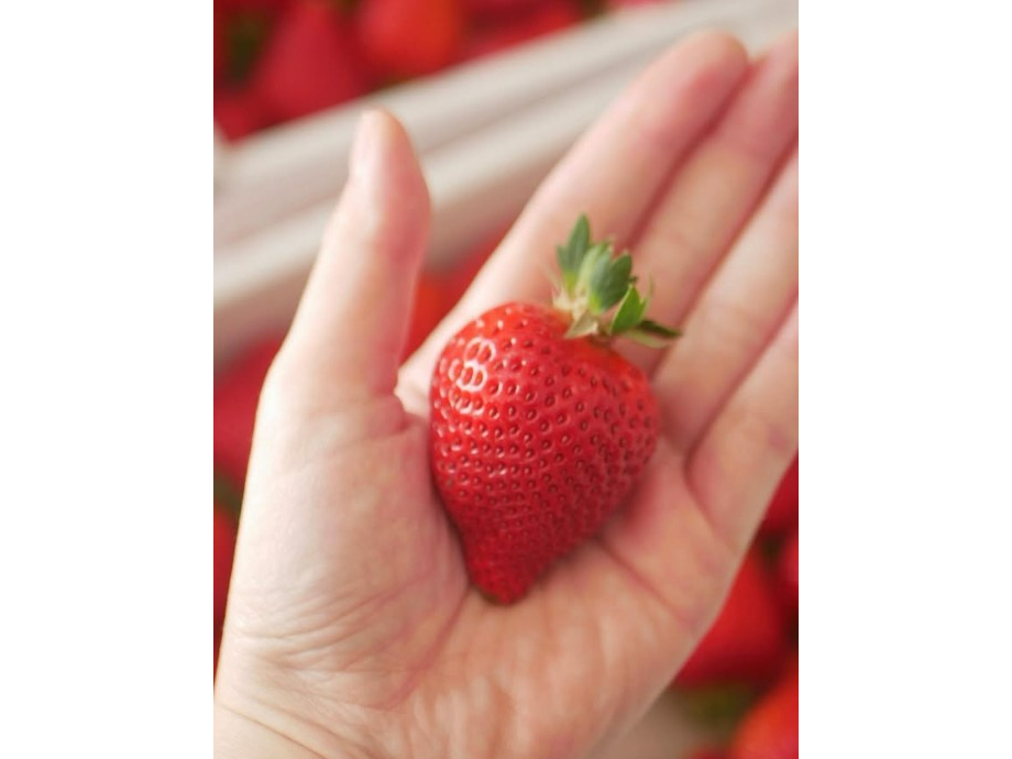 �^���ԂȂ������A���`�����I