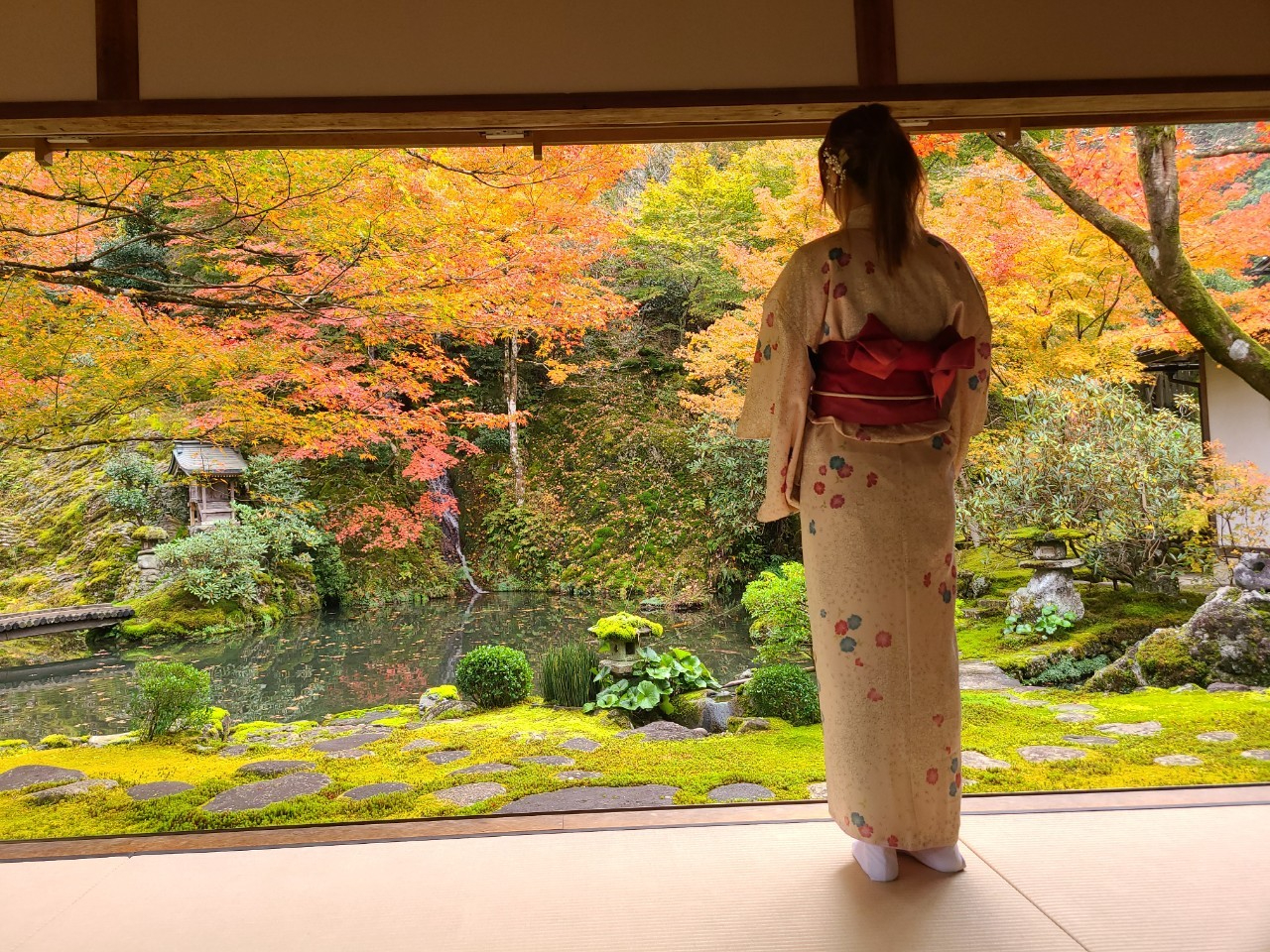 ���߁A���ʁA�сA�В��A������A���ʑђ��߁A�����S���Z�b�g