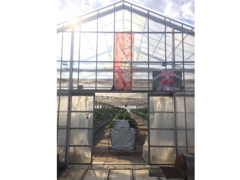 ��t�̓n�E�X���ɂ������܂���