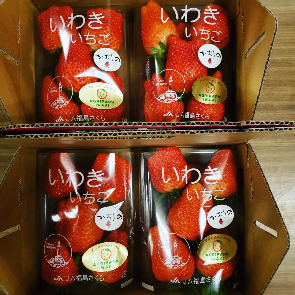 �������ł������̔̔����������܂���