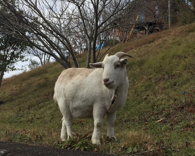 VoM̃ngłBڂɂ邩ɗĂˁI