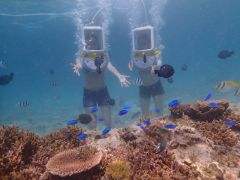 恩納村 国頭郡 のシーウォーカーランキングtop4 じゃらんnet 恩納村 国頭郡 のシーウォーカーランキングtop4 じゃらんnet