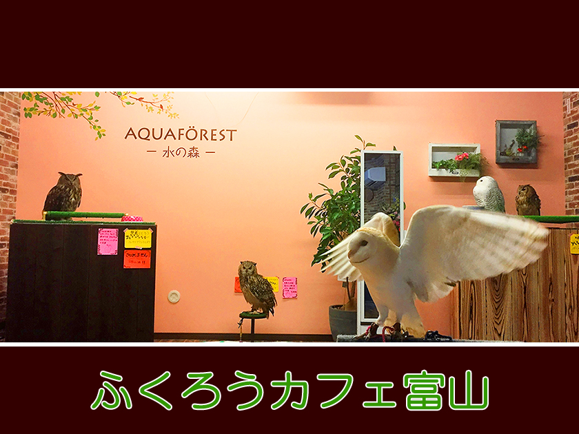 広いふれ合いスペースでゆったりとふれ合って頂けます。