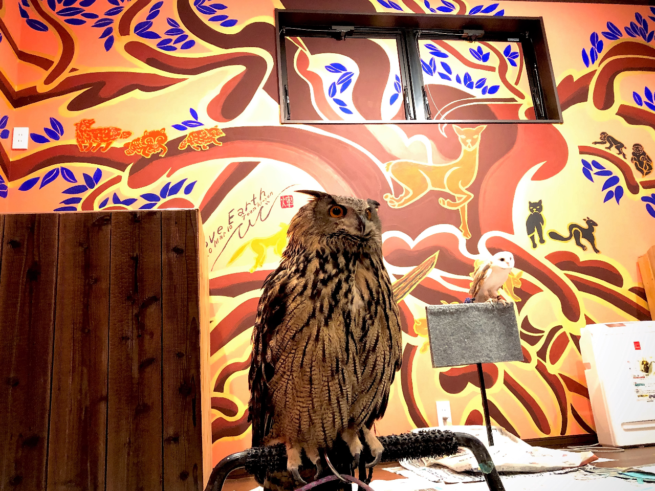 翼をひらくと170センチオーバーの大きなふくろうさん