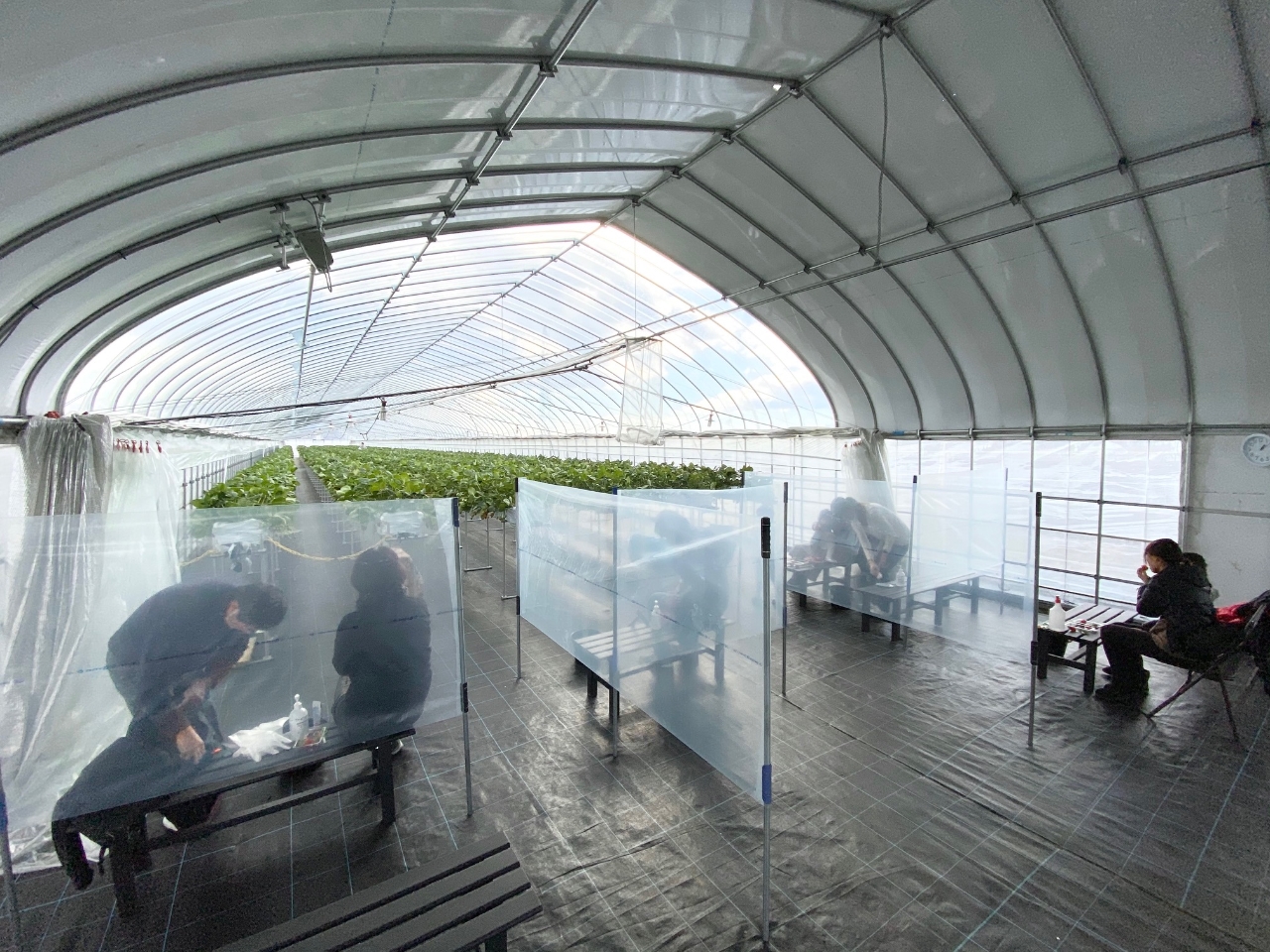 ���R���i�΍�ŃC�[�g�C���X�y�[�X�ɃX�N���[����ݒu���A�����\�h��O�ꂵ�Ă��܂��I