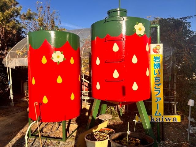 いちご狩りはぜひ岩槻いちごファームへ
