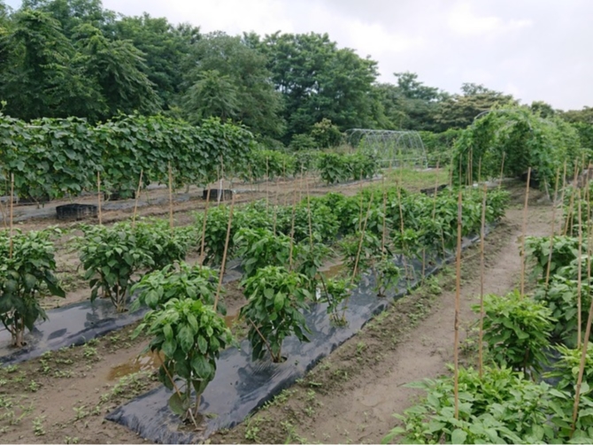 tnEXăXOIlXȂ؂AĂ܂B