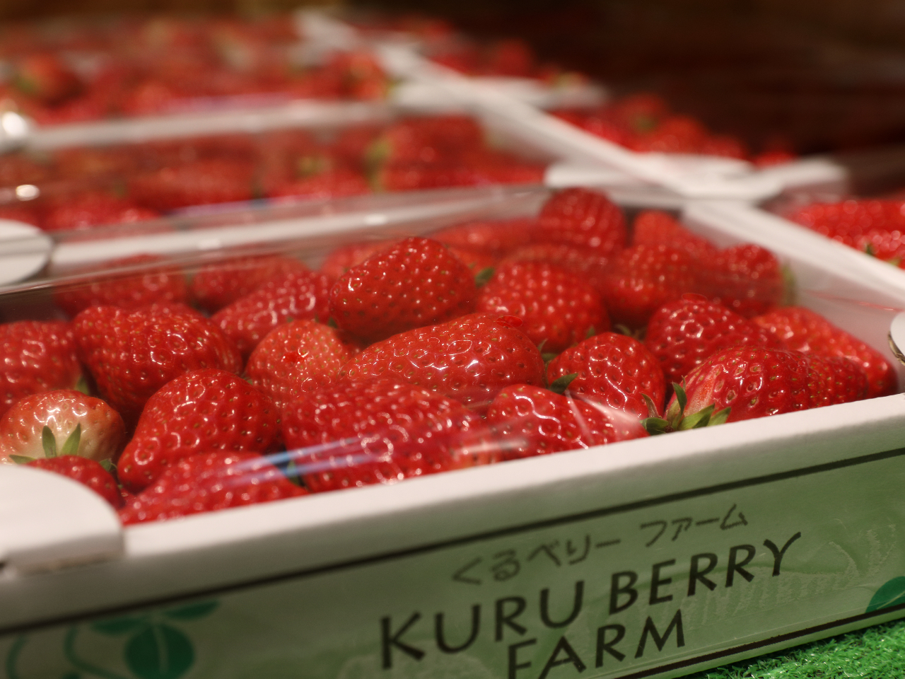 x[t@[p̒uʔvɂ͂yYṕugق؁v̑AW܂I