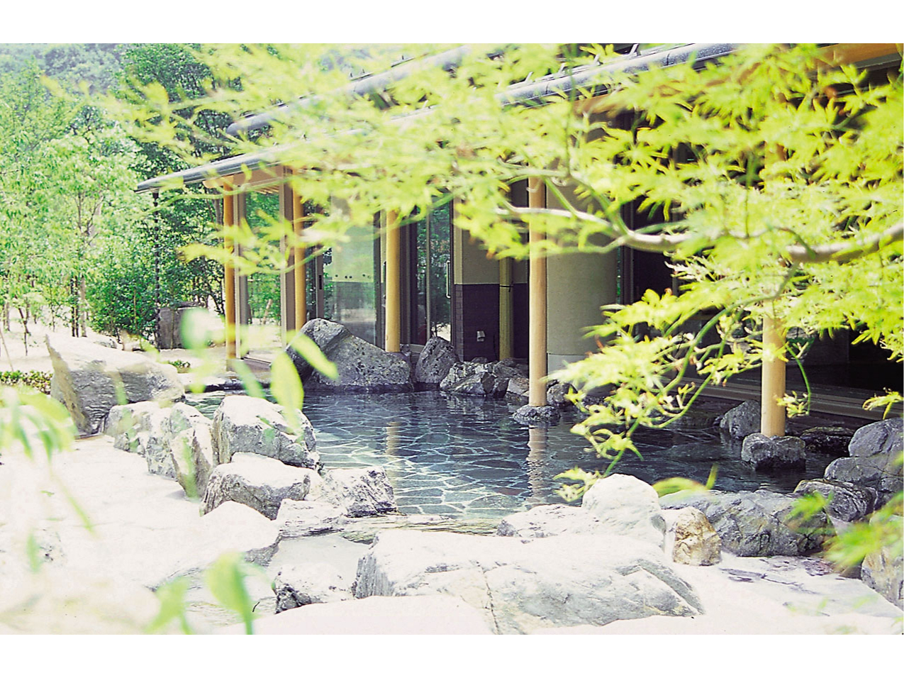 yIV@╗Cz񂾋CƐV΂𒭂߂ȂEEE