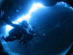 宮古島市のスキューバダイビングランキングtop10 じゃらんnet