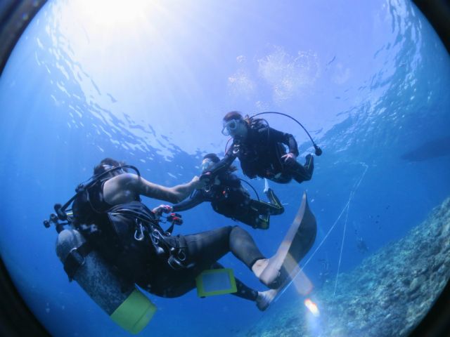 余裕のない方には手を繋いで優しくサポート!いつも側にいるので安心安全!