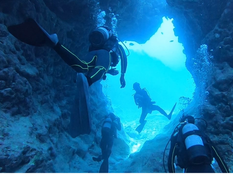 ]T͎̂Rɉj܂IŊy{Iƒ͂܂ꂽ܂܂ł͂ȂRx̍̌_CrOłI