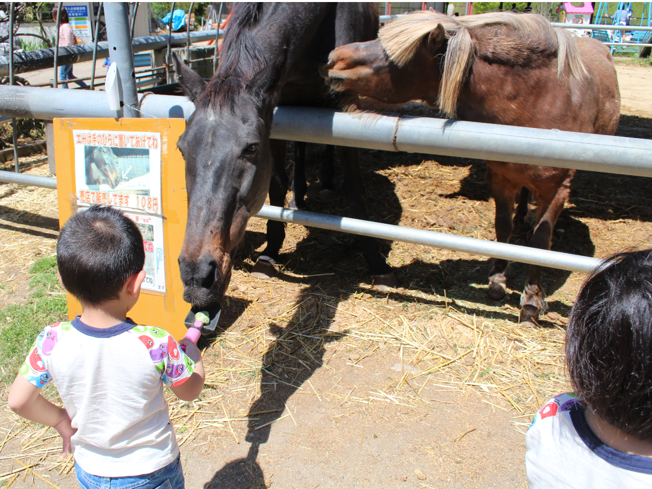 nɂGTłIq͕KXRbvgăGTĂˁB