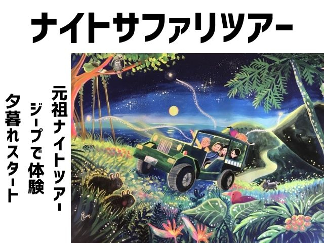 ナイトサファリツアー専門店のガイドが運転する4WDジープでアマミノクロウサギなどの動植物を探しに行こう!車両1台のゲスト定員は大人5名様まで。少人数でご案内いたします。日没に合わせてツアースタート!