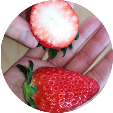 �͕P �_�������Ȃ��Â��A���q�l����D���Ȗ�