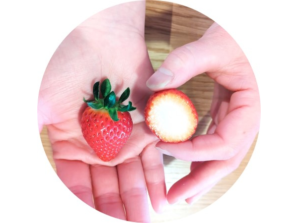 ���V�[�Y��������n�\�ɂȂ�Җ]�̌��Y�V�i��ł��B�嗱�œ��x�������A����₩�Ȏ_��������A�������ς��ɖF���ȍ��肪�L����܂��B