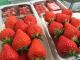 お土産用のいちごも販売しております!(数に限りあり)
