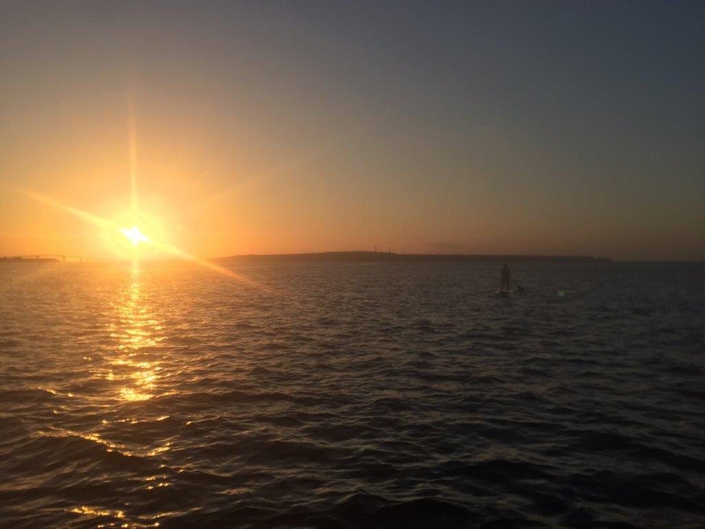 lŊyނ̂TZbgJbN̖͂łB