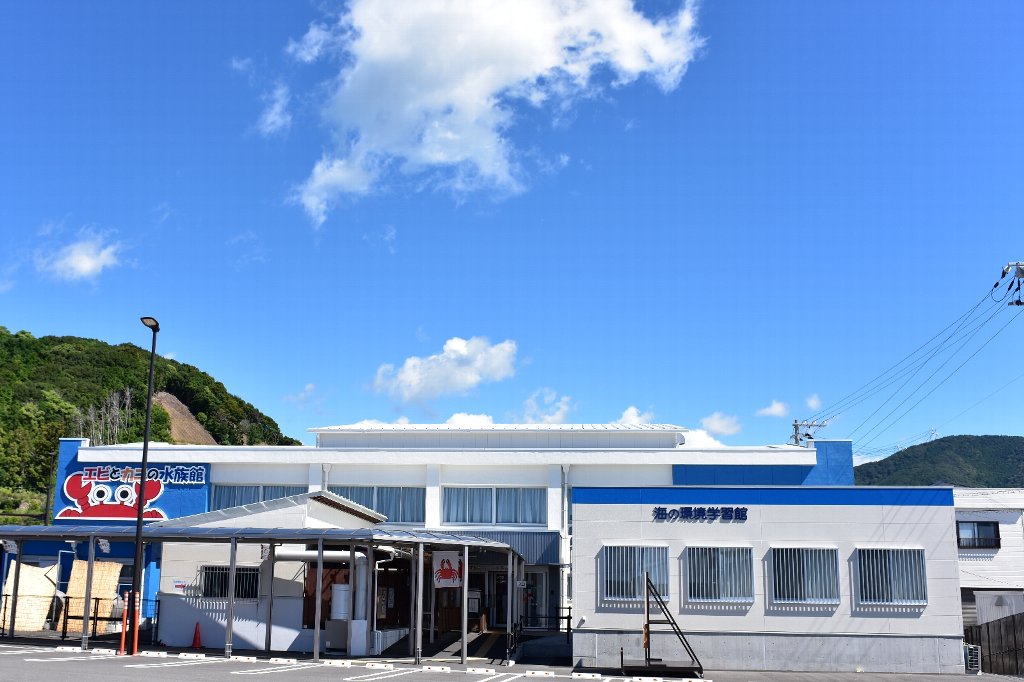 日本一魅力的なウツボが居ます すさみ町立エビとカニの水族館の口コミ じゃらんnet