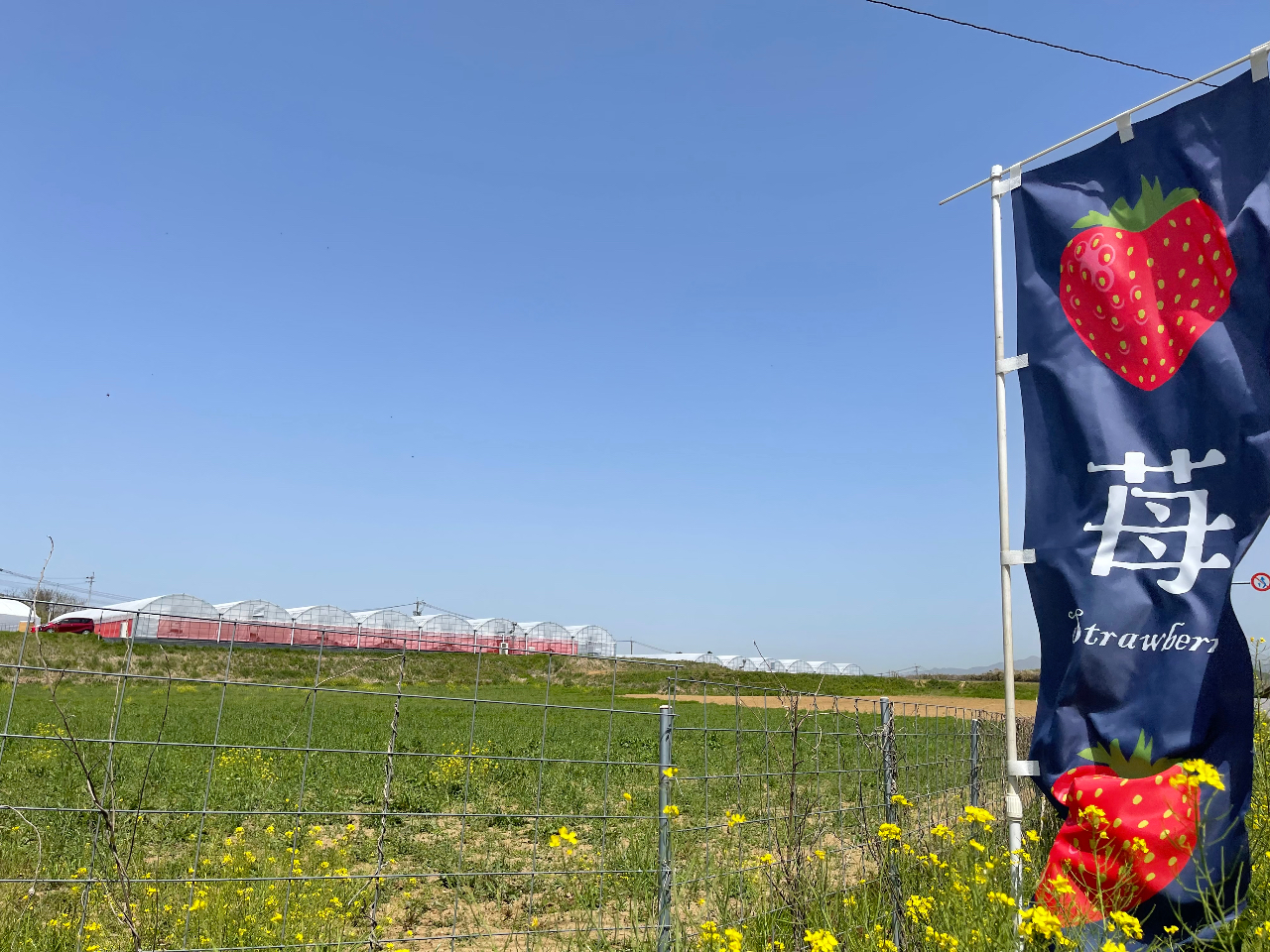 502nEX܂B̂̂ڂڈłB