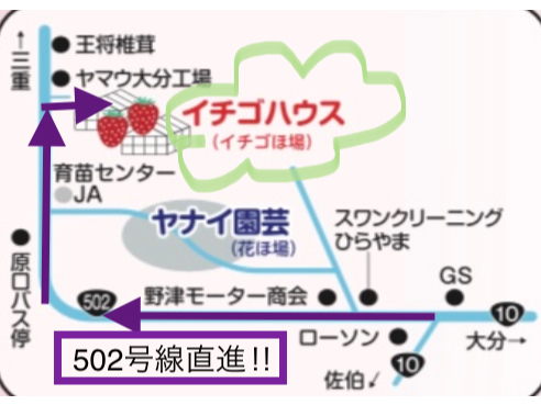 XXN[jOЂ܂E܂502𒼐iIIE܂ƂԂ̃nEXɓ̂łӂBC`SnEX̓}E啪Hׂ̗łB