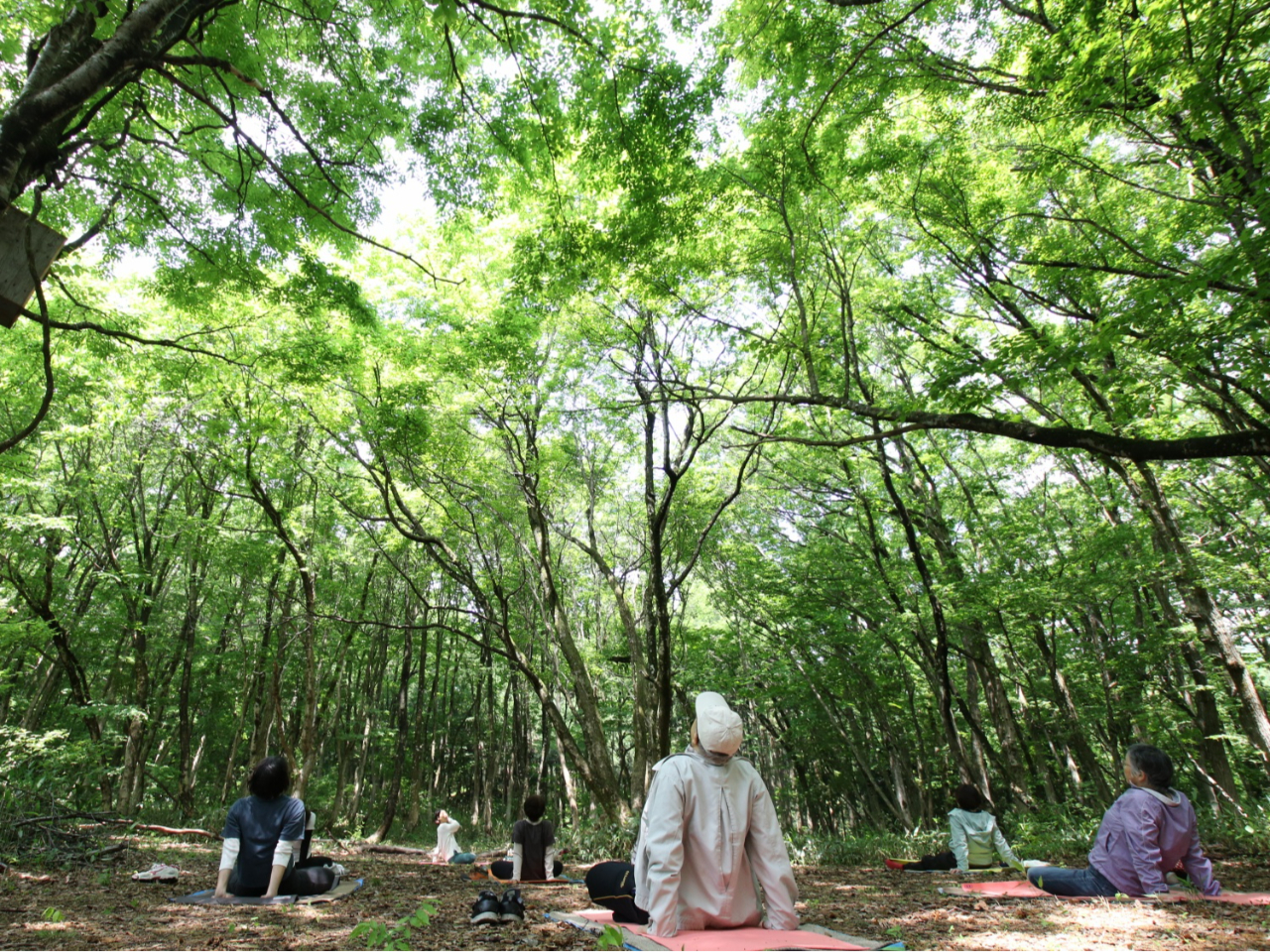 ハックルベリーの森で自由時間※お土産付き【ふくのね】