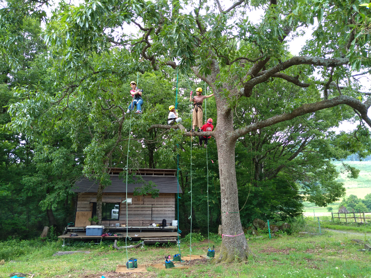 Let’s ツリークライミング&森カフェ※お土産付き【ふくのね】
