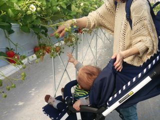 ベビーカー、車いすにも対応