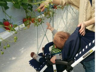 ベビーカー、車いすにも対応