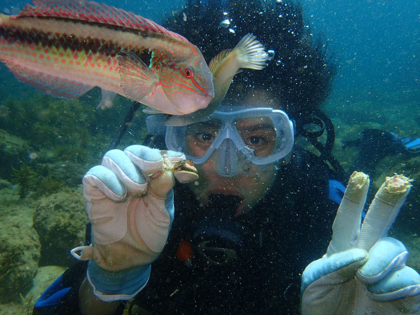 福岡の海でも間近で熱帯魚と触れ合えます。