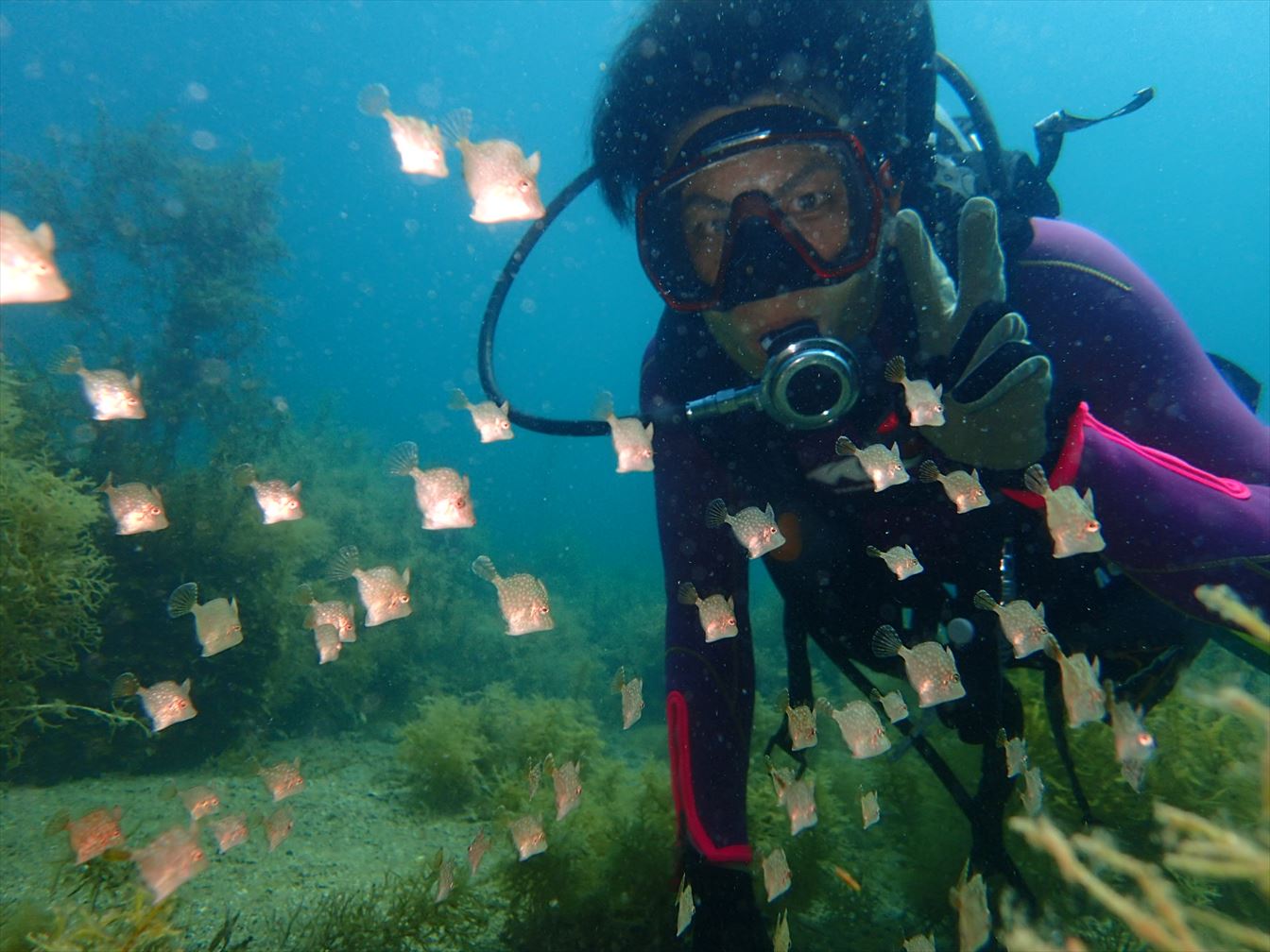 年間通して日本海の魚を見ることができます。