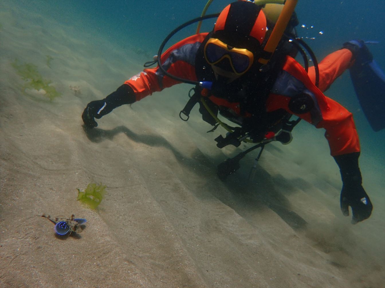 قłȂ悤ȐɏoƂB