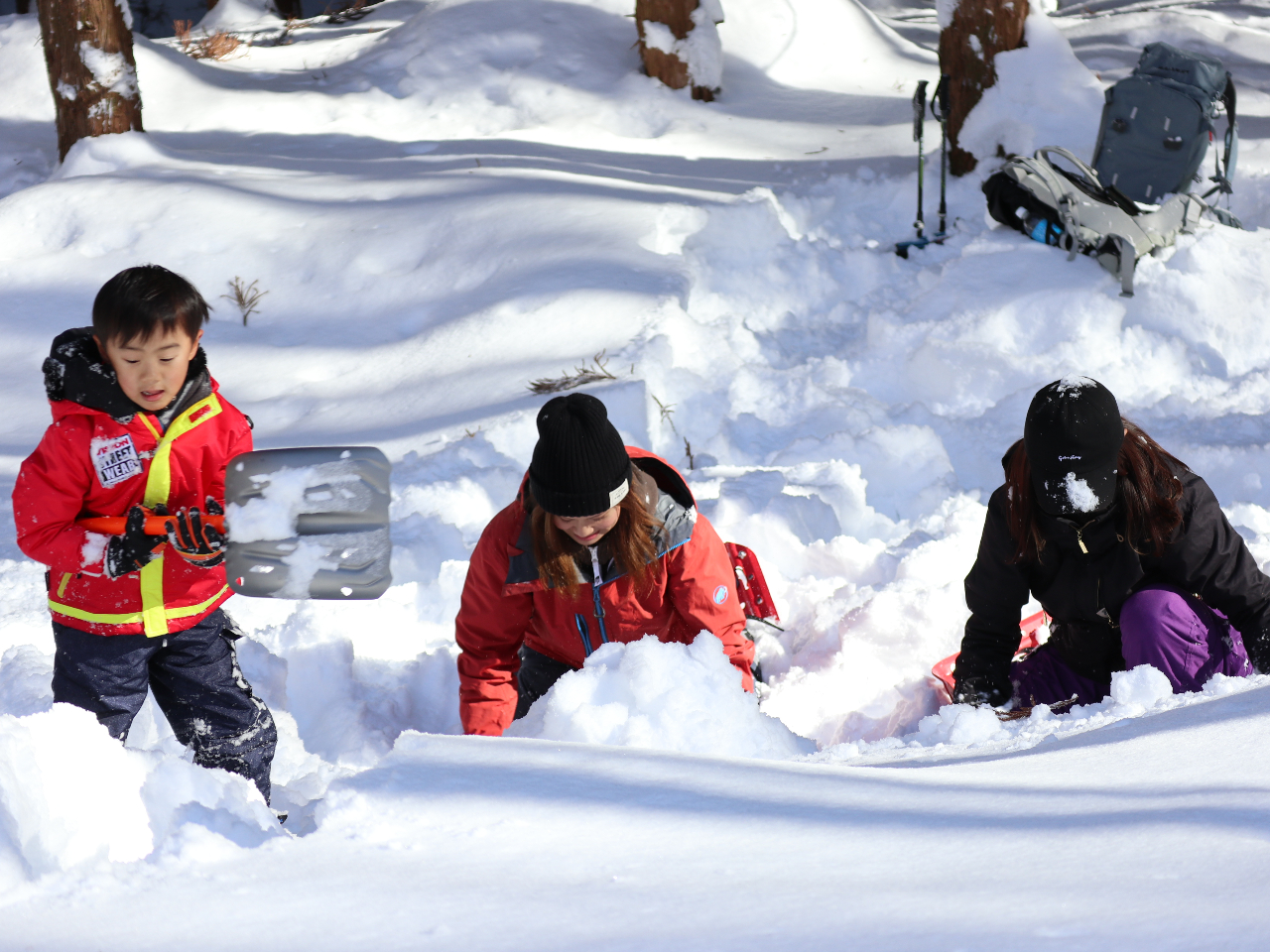 冬の森では楽しみ方無限大!