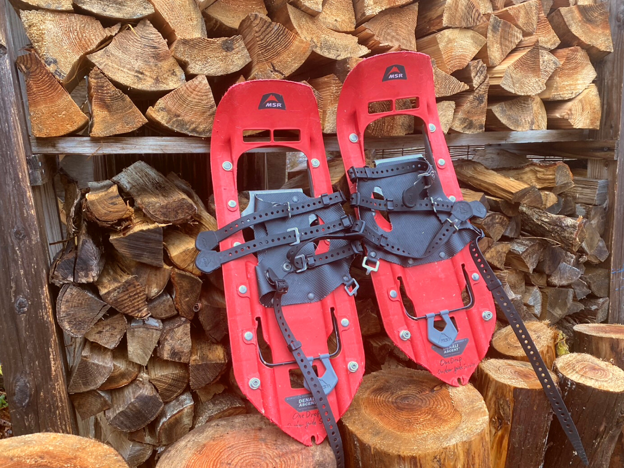 Ⴊ[Ƃ̓Xm[V[劈IĝȒPI񃌃^̓cA[㍞݂łI