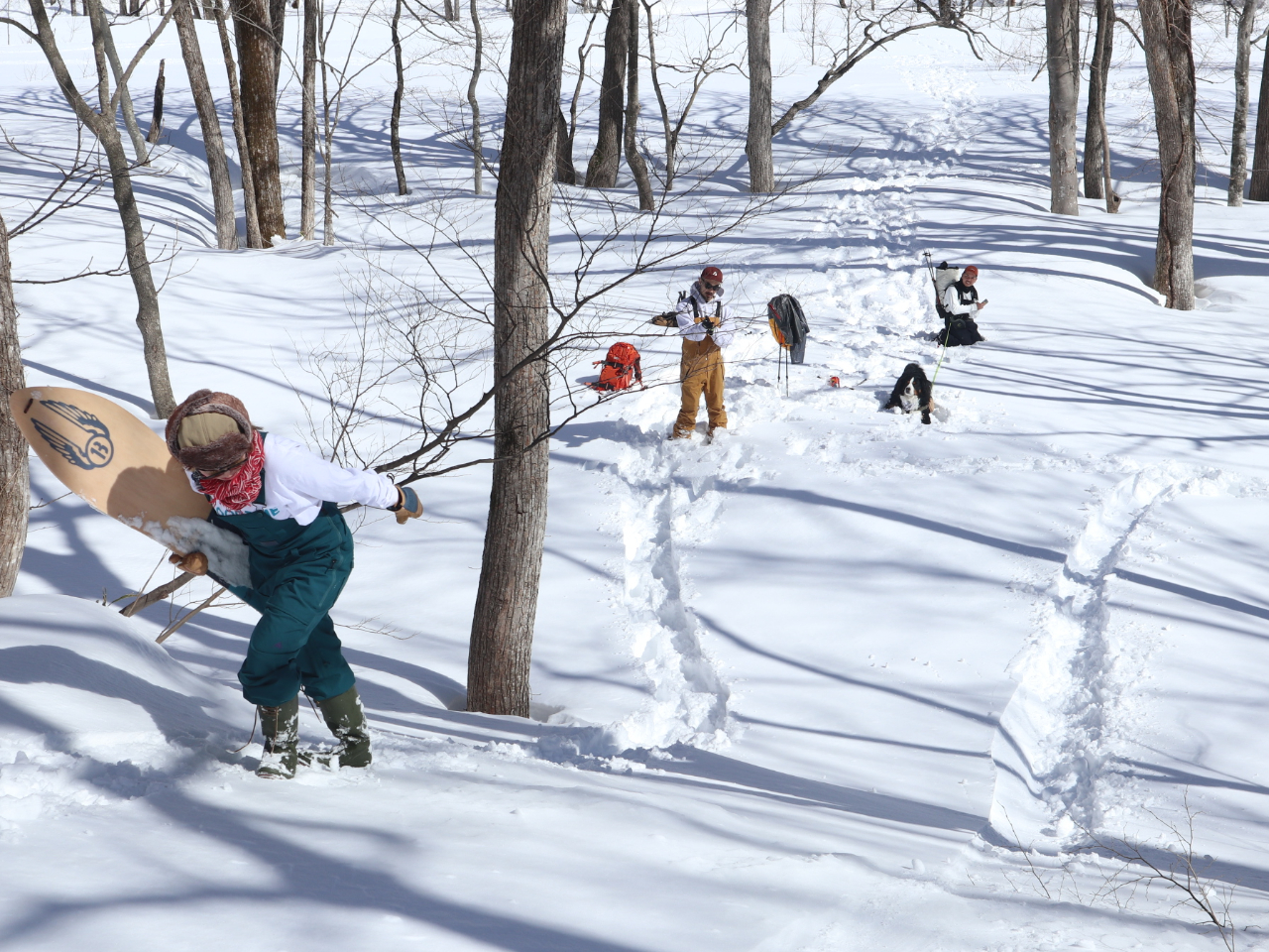 ŐVANeBreBuv̌łႤI