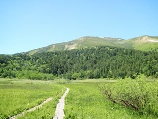 大人気の「尾瀬ヶ原」でトレッキング♪