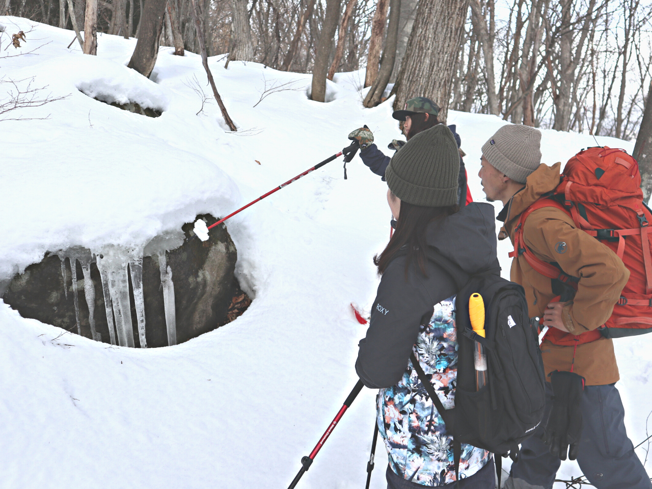 ��A�ɂ͏����Ȃ�炪��������A�X�̊ώ@���ӊO�Ȕ����������ł��I