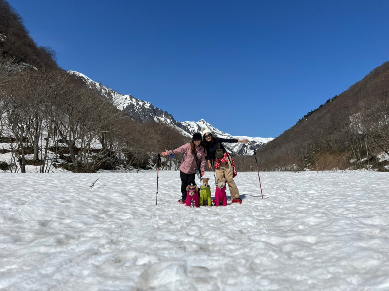 青と白のコントラストは最高です!ワンちゃんも気持ち良さそうです^^