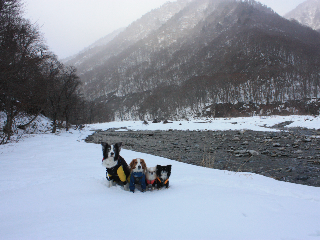 iF̒ǂVbgԂĎ܂傤II