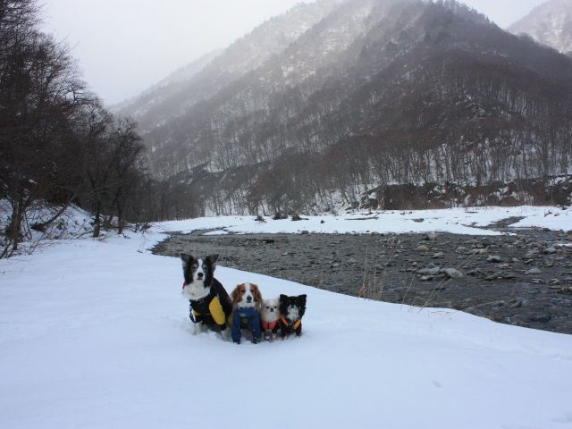 雪景色の仲良しショットも時間をかけて取りましょう!!