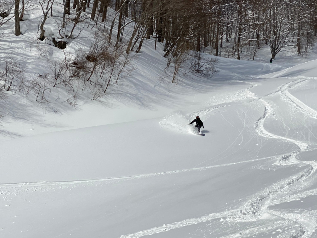 整地されたゲレンデでは味わえない野生の雪を楽しみましょう! 雪山にあなただけのラインを描きましょう♪