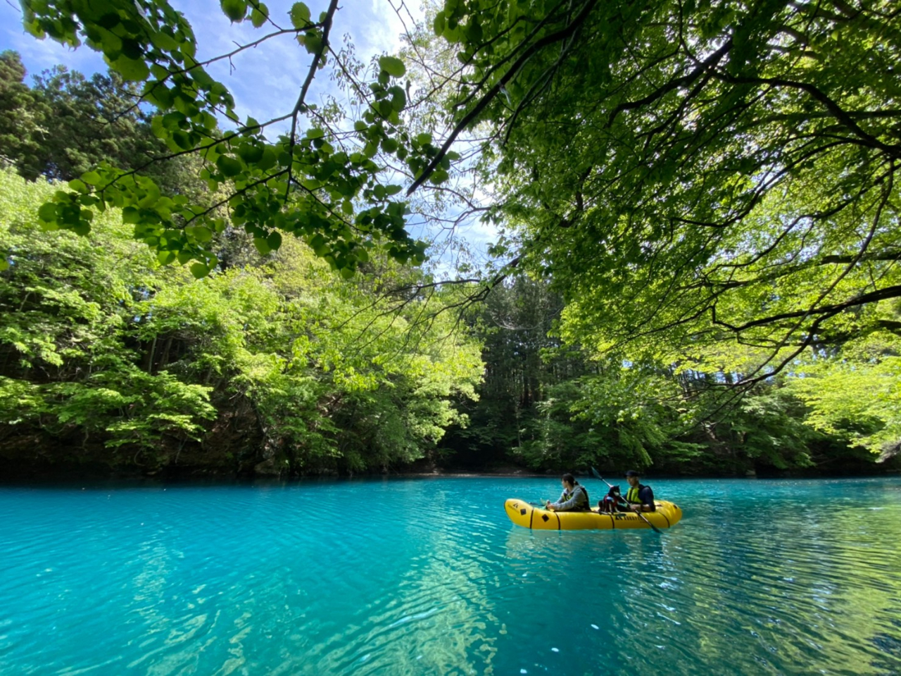 ybgOKI֓w̐iul΁vł܂Jk[CO