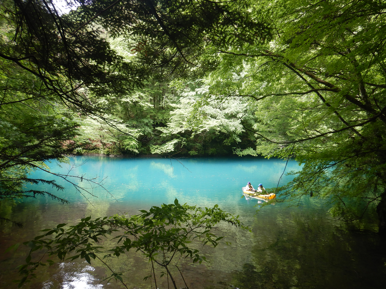 l΂ŗVԂȂ烏hbvցISnQ̃pbNtgōō̐UցI